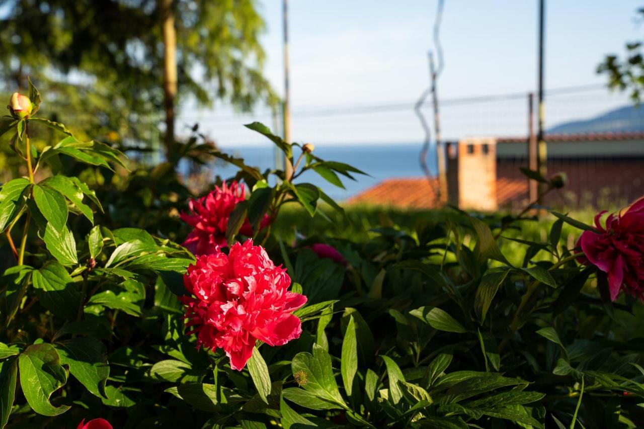 Apartment Stella Marina Rabac Dış mekan fotoğraf